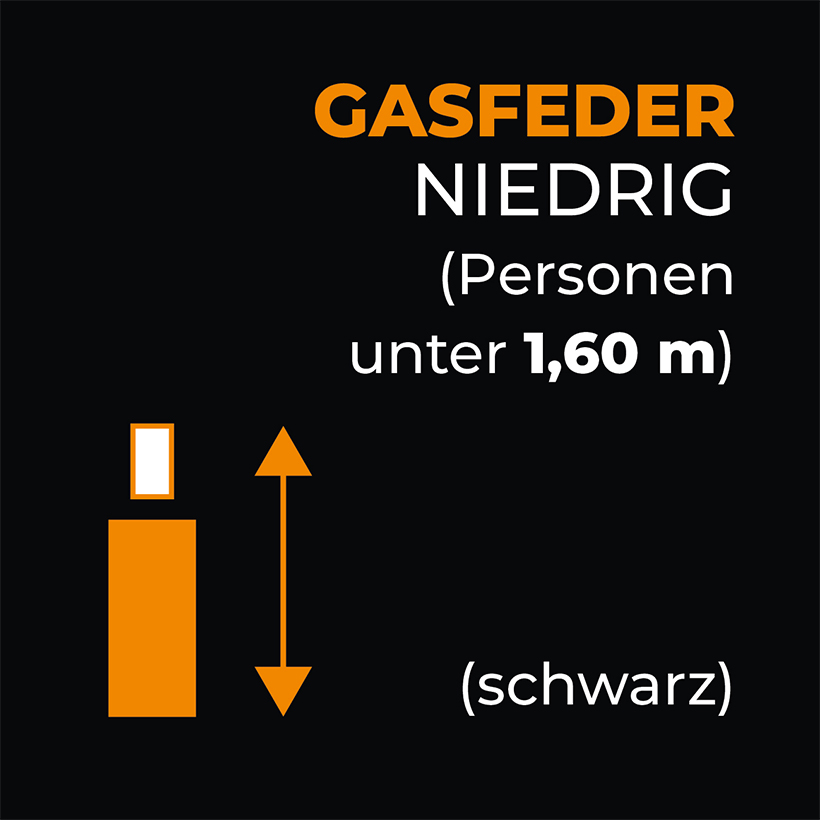 Gasfeder Schwarz Niedrig